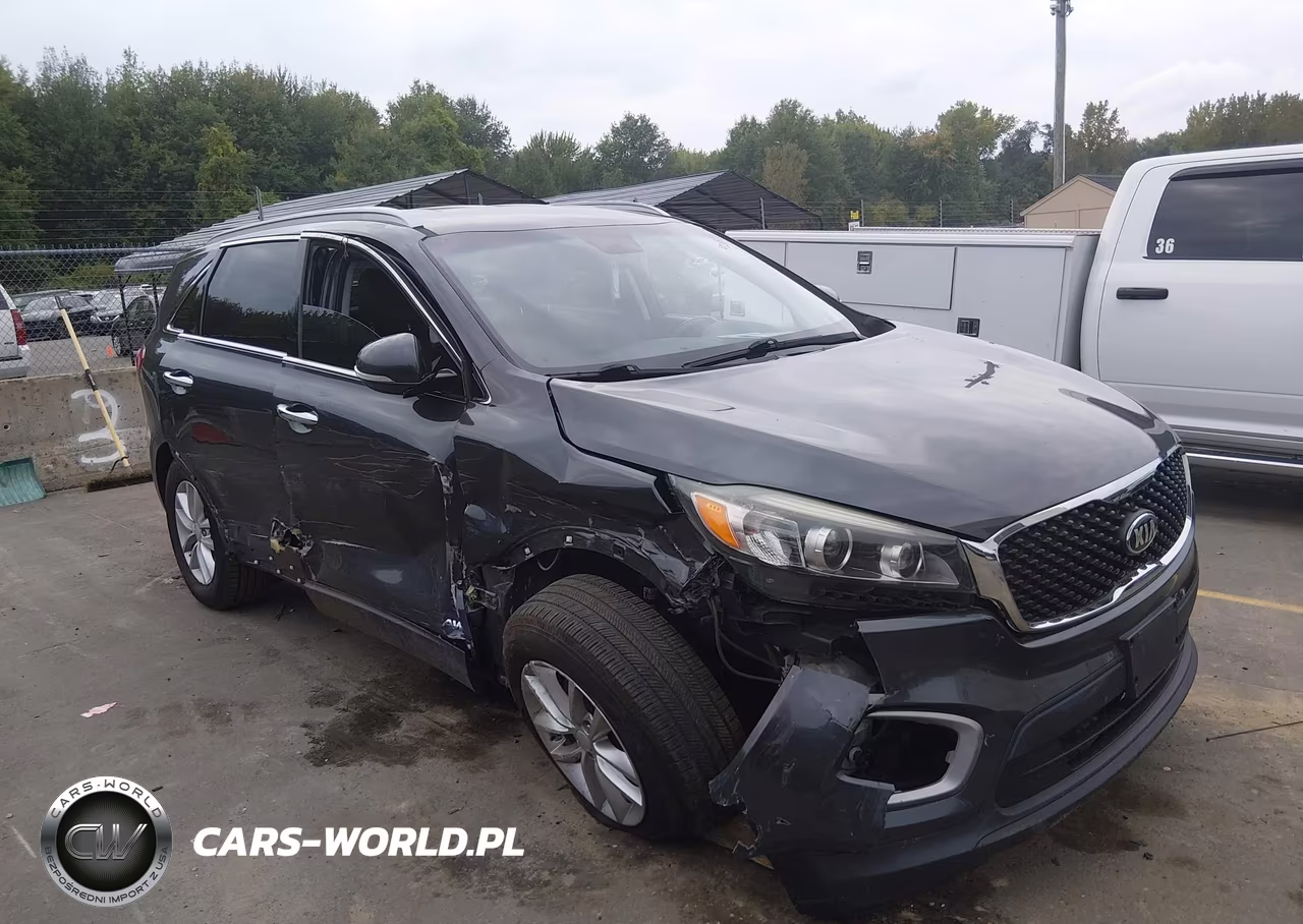 2017 Kia Sorento 2.4L Lx VIN:5XYPGDA39HG281585 - 1