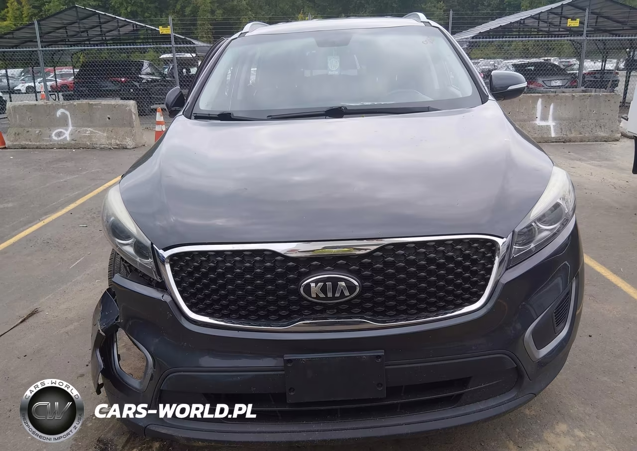 2017 Kia Sorento 2.4L Lx VIN:5XYPGDA39HG281585 - 12