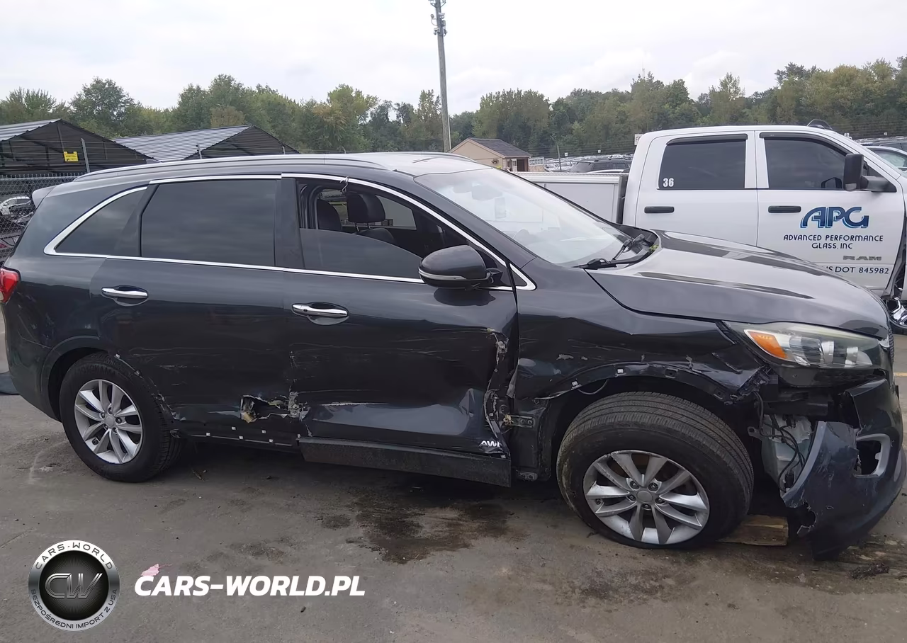 2017 Kia Sorento 2.4L Lx VIN:5XYPGDA39HG281585 - 13