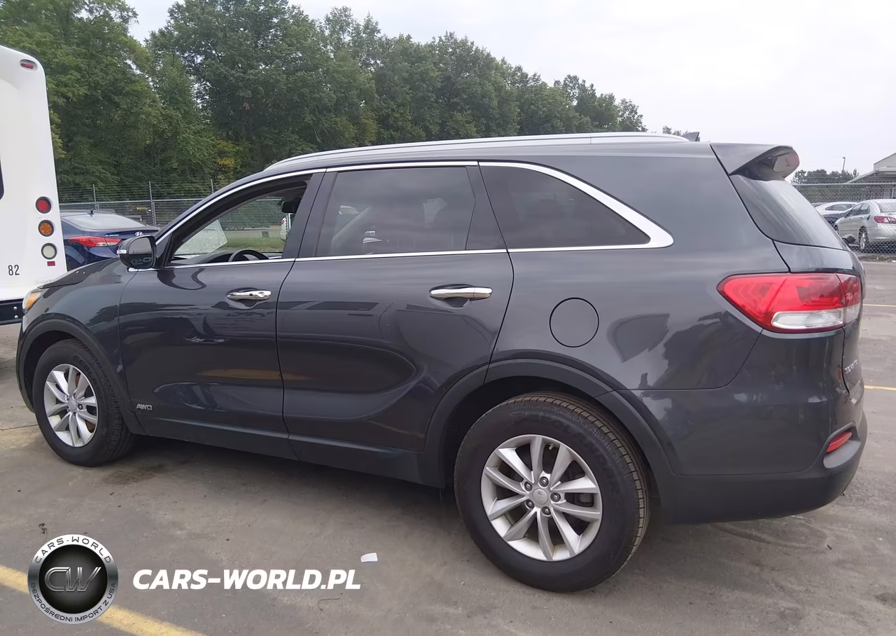 2017 Kia Sorento 2.4L Lx VIN:5XYPGDA39HG281585 - 14