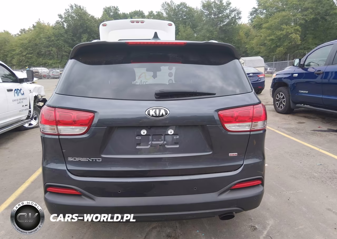 2017 Kia Sorento 2.4L Lx VIN:5XYPGDA39HG281585 - 16