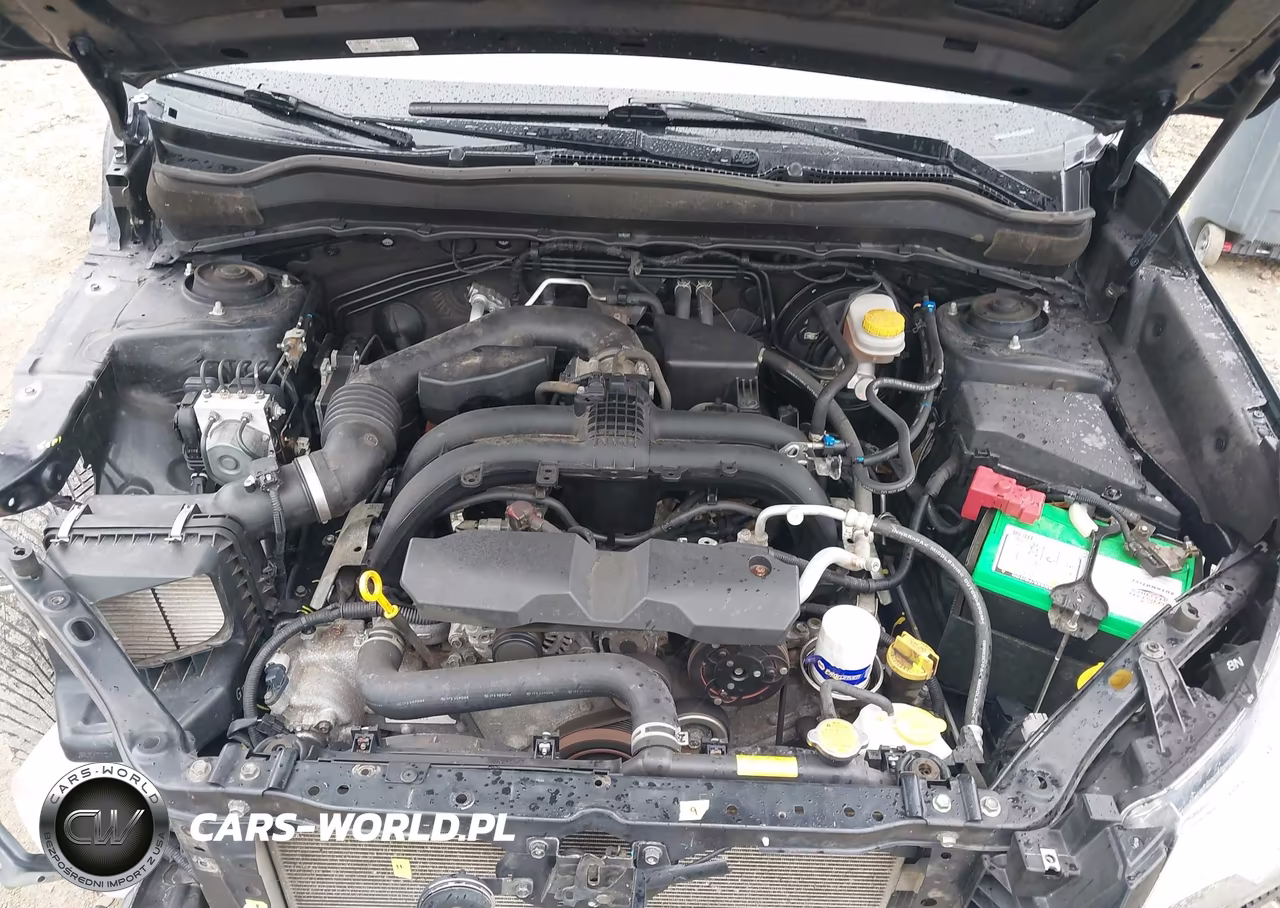 2017 Subaru Forester 2.5I VIN:JF2SJABC3HH575971 - 10