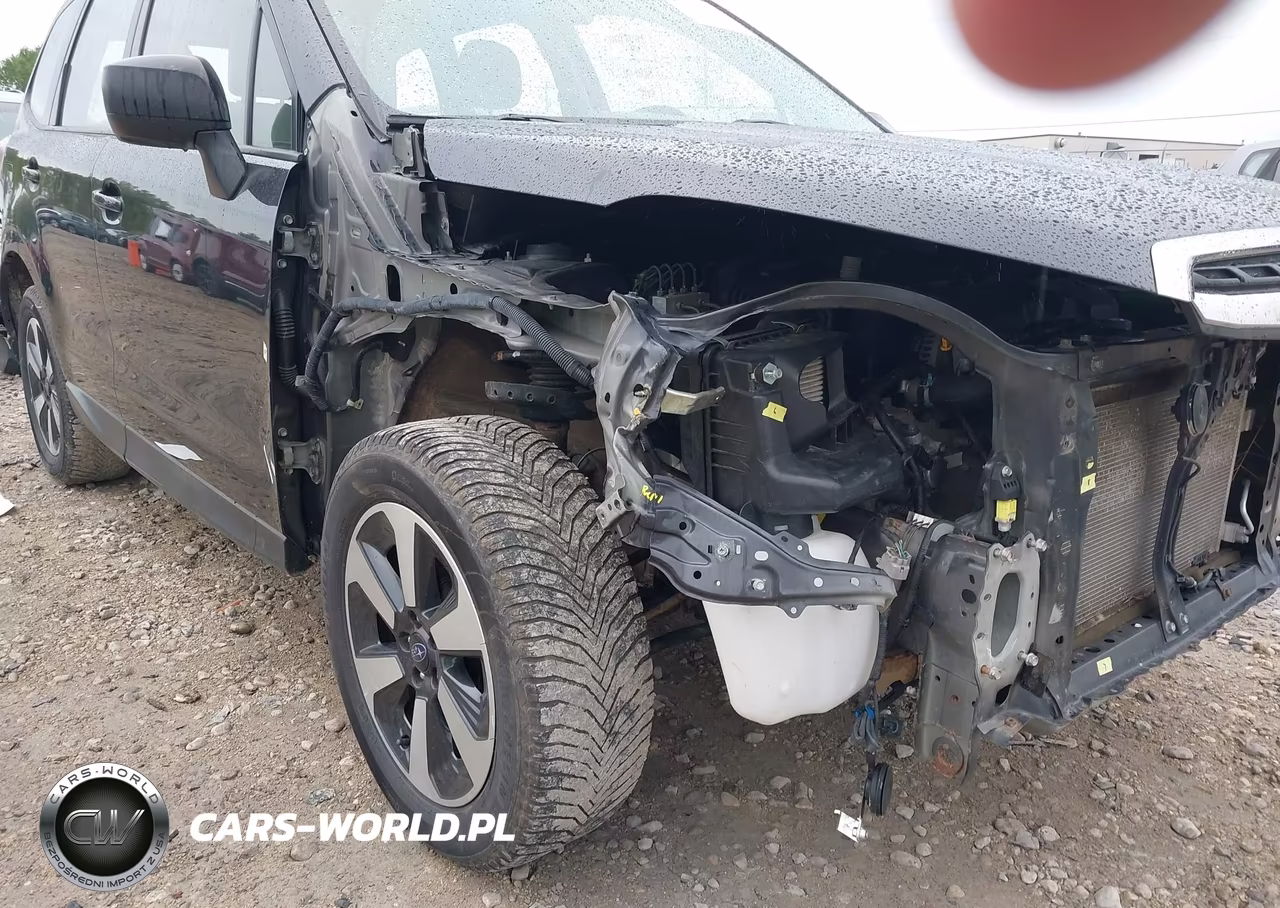 2017 Subaru Forester 2.5I VIN:JF2SJABC3HH575971 - 13