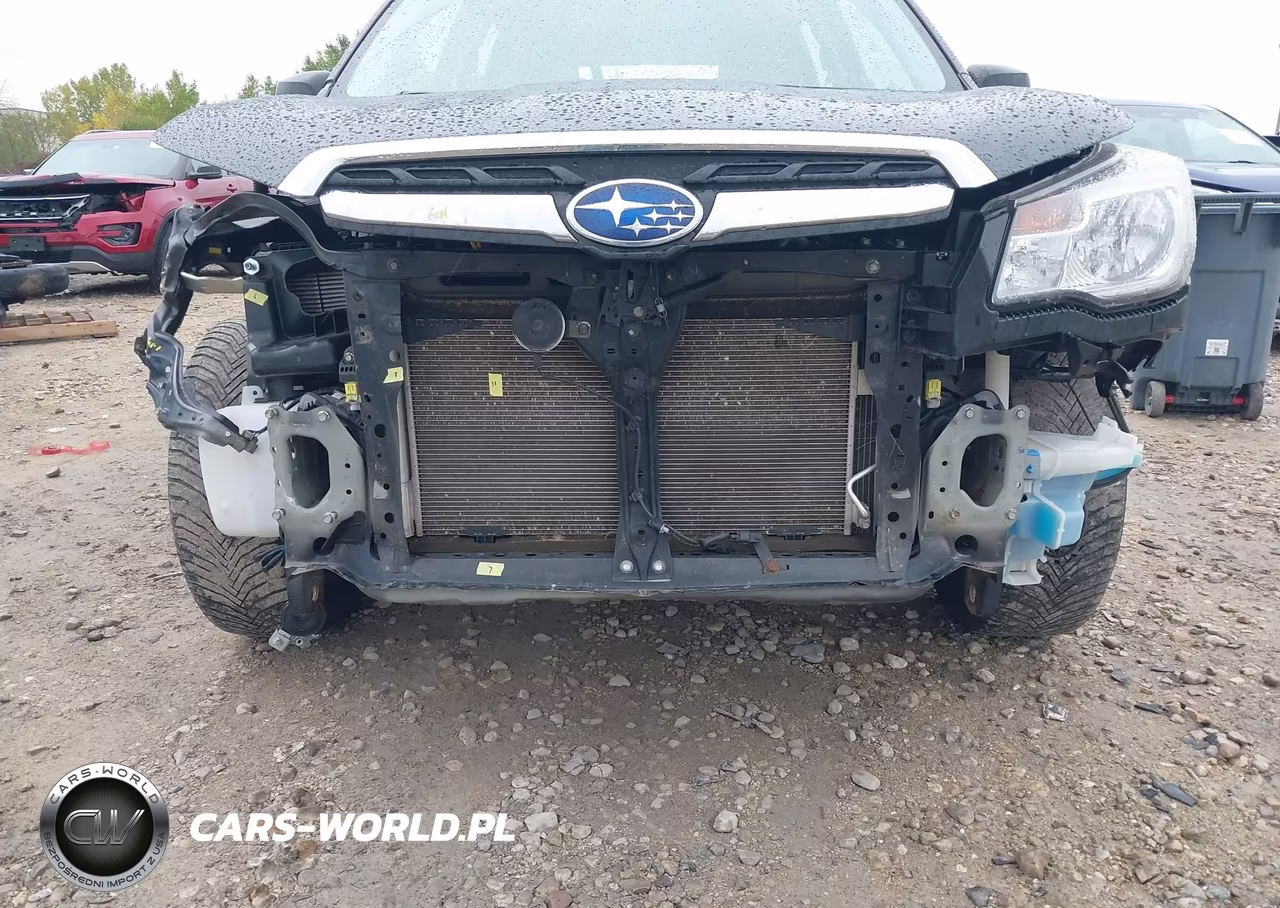 2017 Subaru Forester 2.5I VIN:JF2SJABC3HH575971 - 6