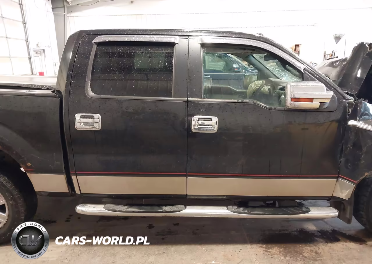 2010 Ford F-150 Fx4-Harley-Davidson-King Ranch-Lariat-Platinum-Xl-Xlt VIN:1FTFW1EV3AFB07741 - 13