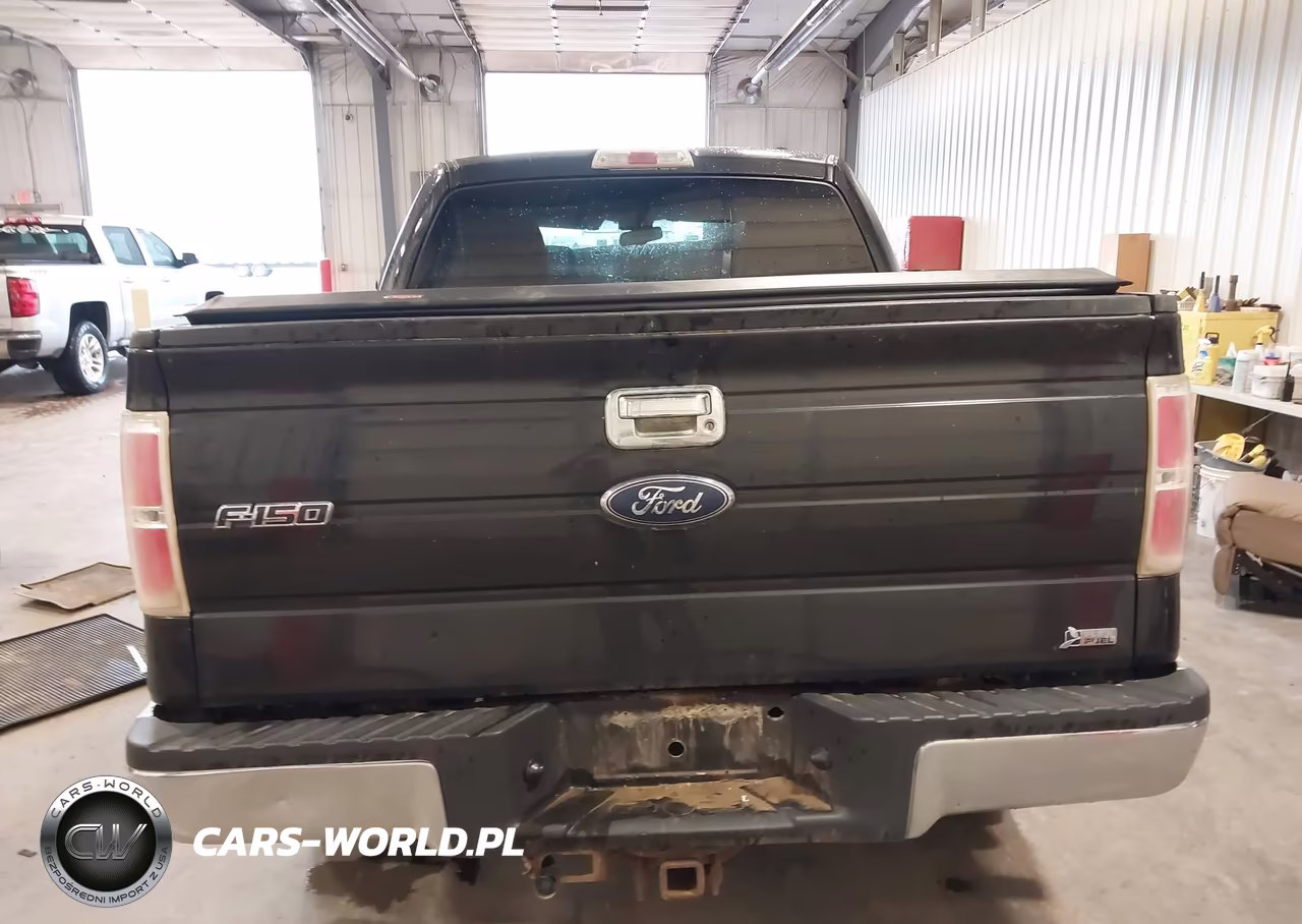 2010 Ford F-150 Fx4-Harley-Davidson-King Ranch-Lariat-Platinum-Xl-Xlt VIN:1FTFW1EV3AFB07741 - 16