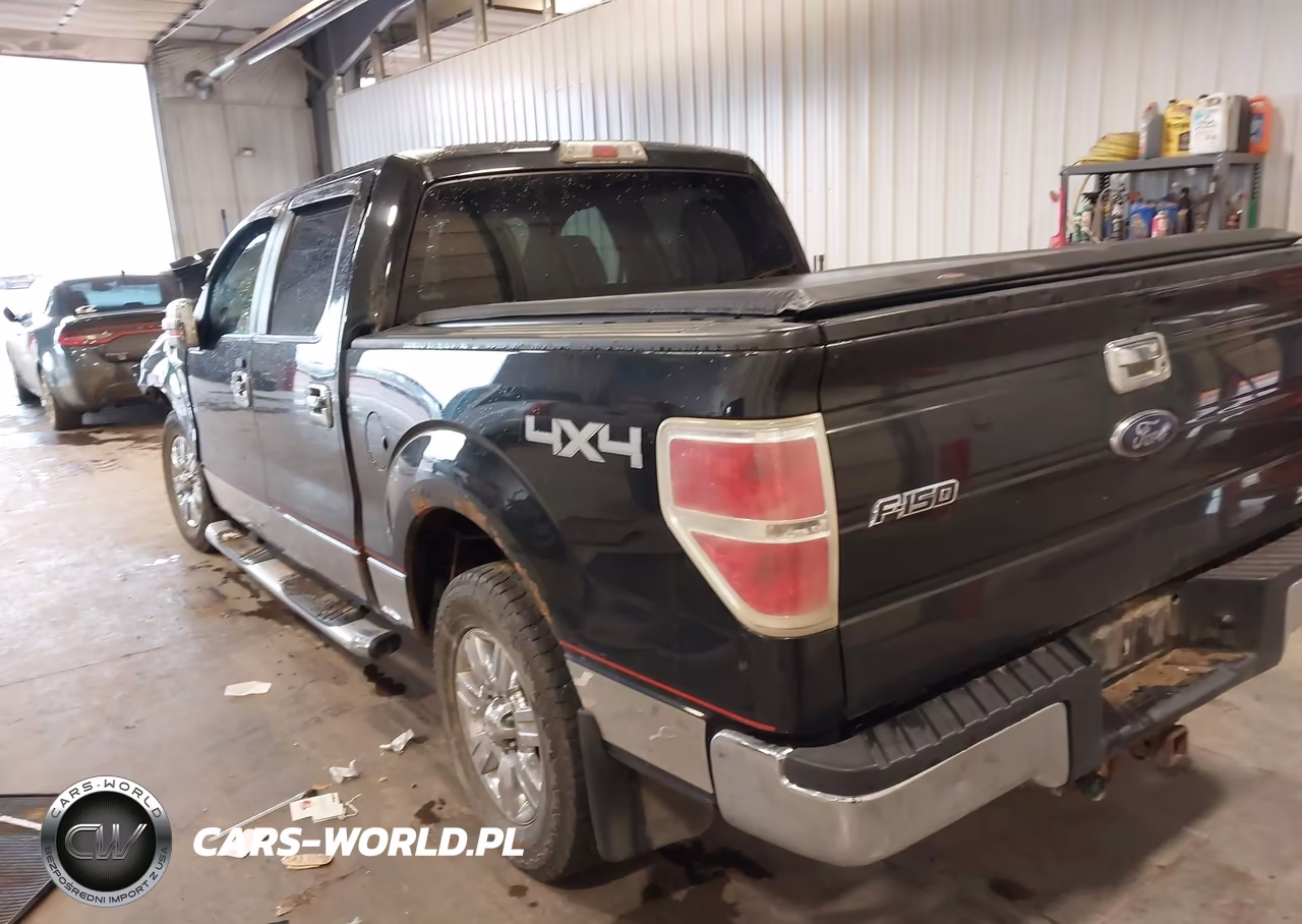 2010 Ford F-150 Fx4-Harley-Davidson-King Ranch-Lariat-Platinum-Xl-Xlt VIN:1FTFW1EV3AFB07741 - 3