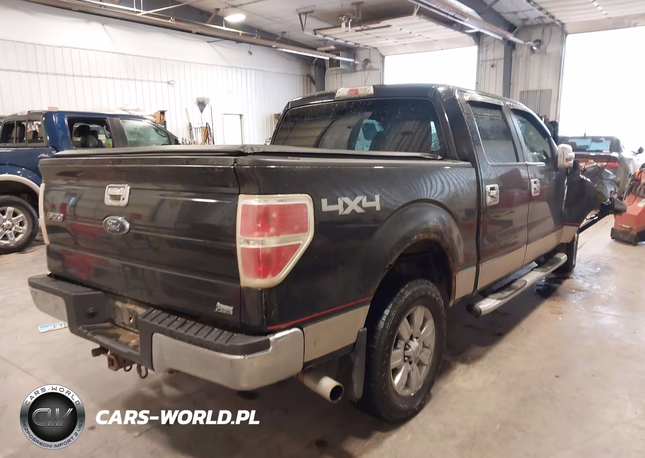 2010 Ford F-150 Fx4-Harley-Davidson-King Ranch-Lariat-Platinum-Xl-Xlt VIN:1FTFW1EV3AFB07741 - 4