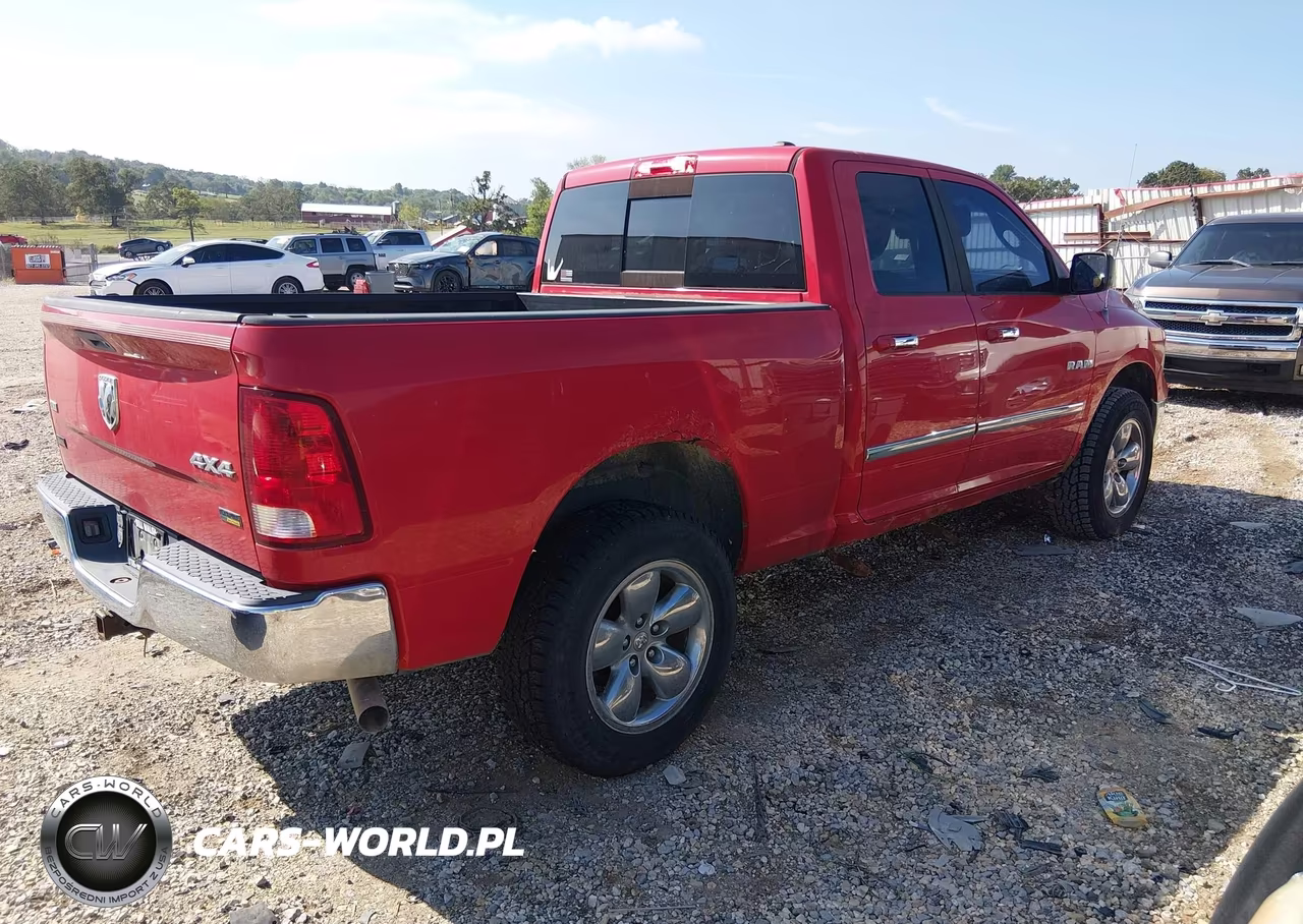 2010 Dodge Ram 1500 Slt-Sport-Trx VIN:1D7RV1GP8AS230253 - 4