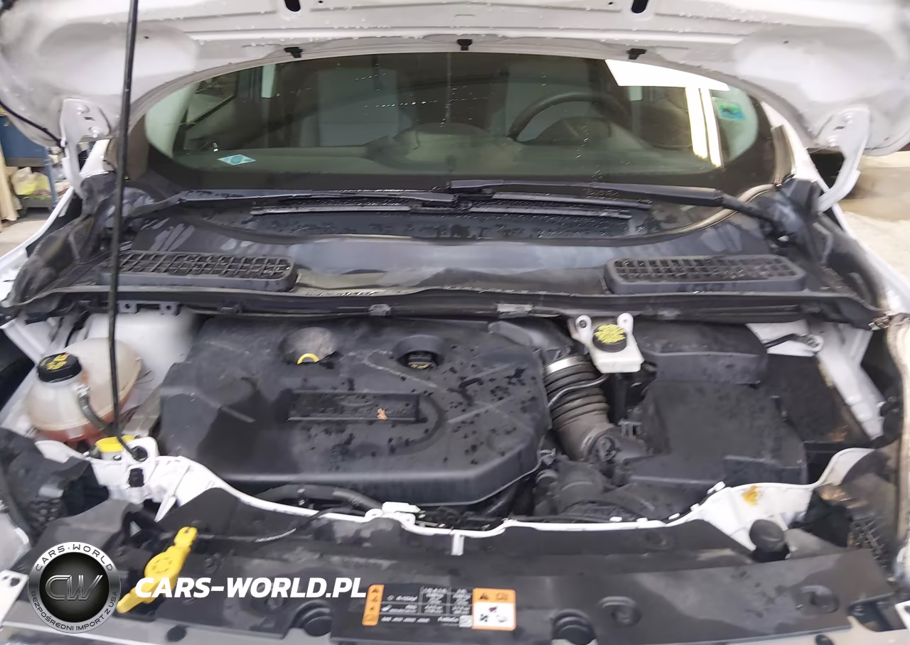 2017 Ford Escape Se VIN:1FMCU0G98HUB15015 - 10