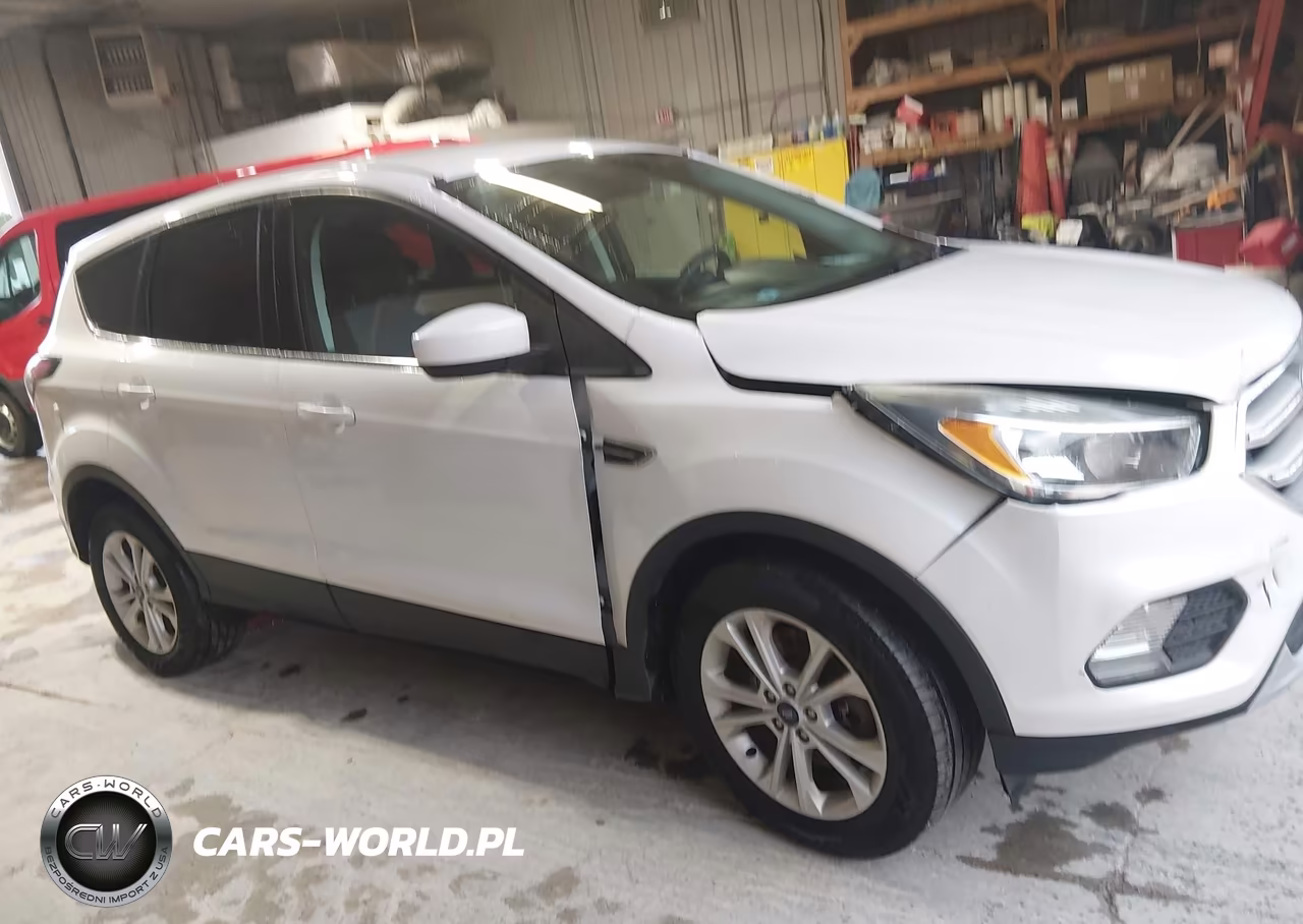2017 Ford Escape Se VIN:1FMCU0G98HUB15015 - 13