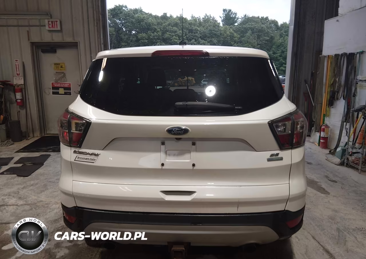 2017 Ford Escape Se VIN:1FMCU0G98HUB15015 - 16