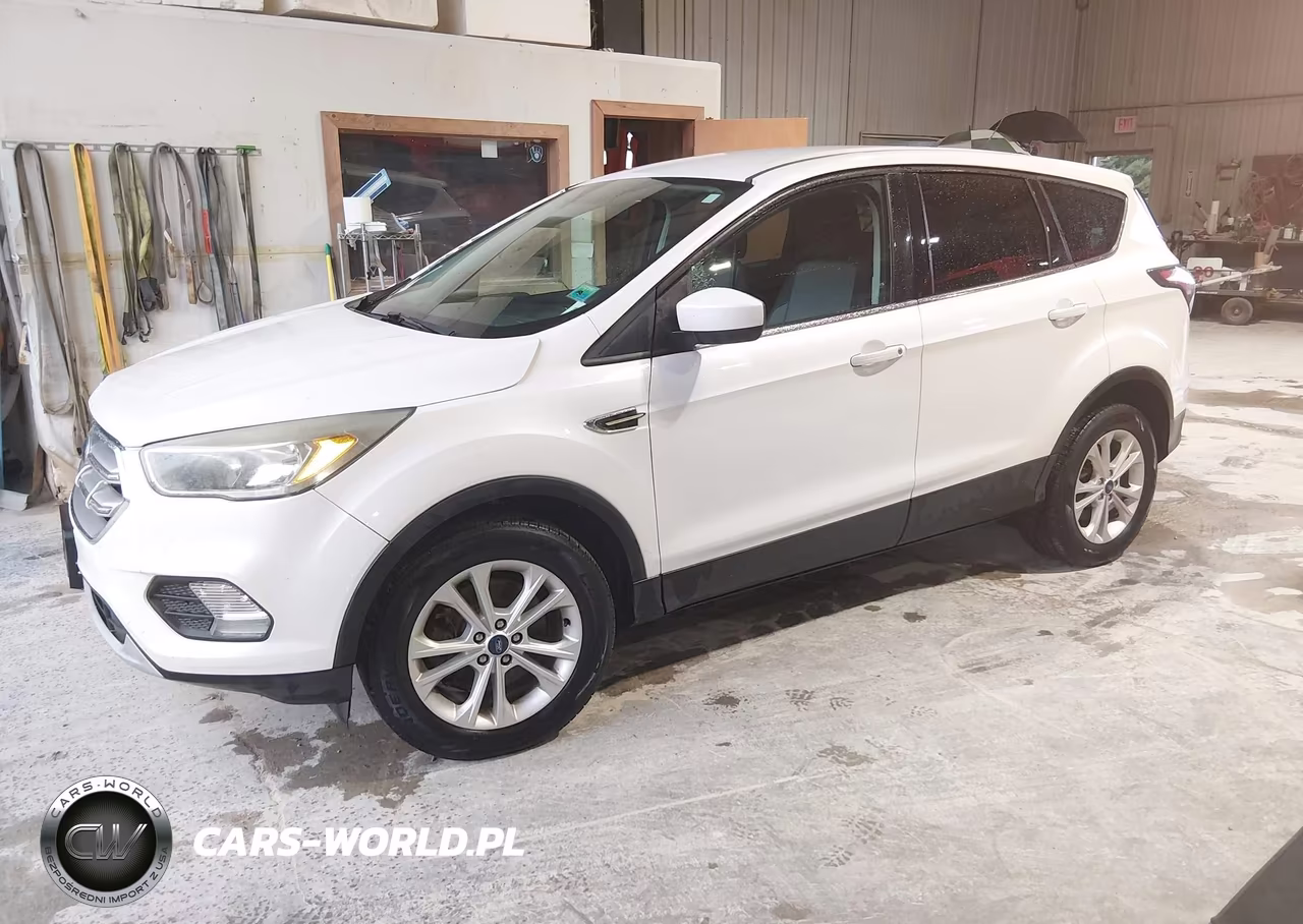 2017 Ford Escape Se VIN:1FMCU0G98HUB15015 - 2
