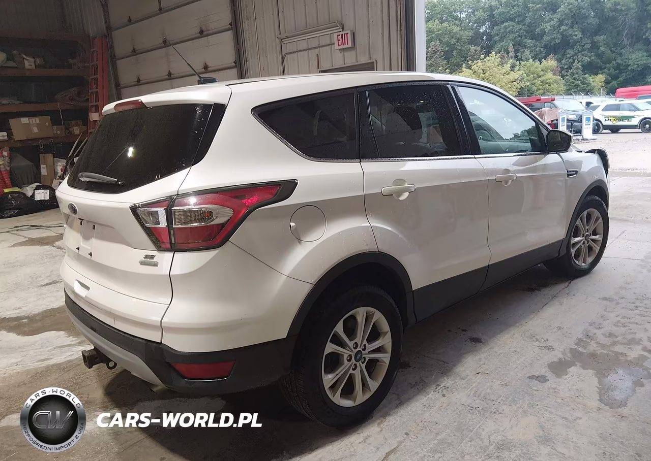 2017 Ford Escape Se VIN:1FMCU0G98HUB15015 - 4