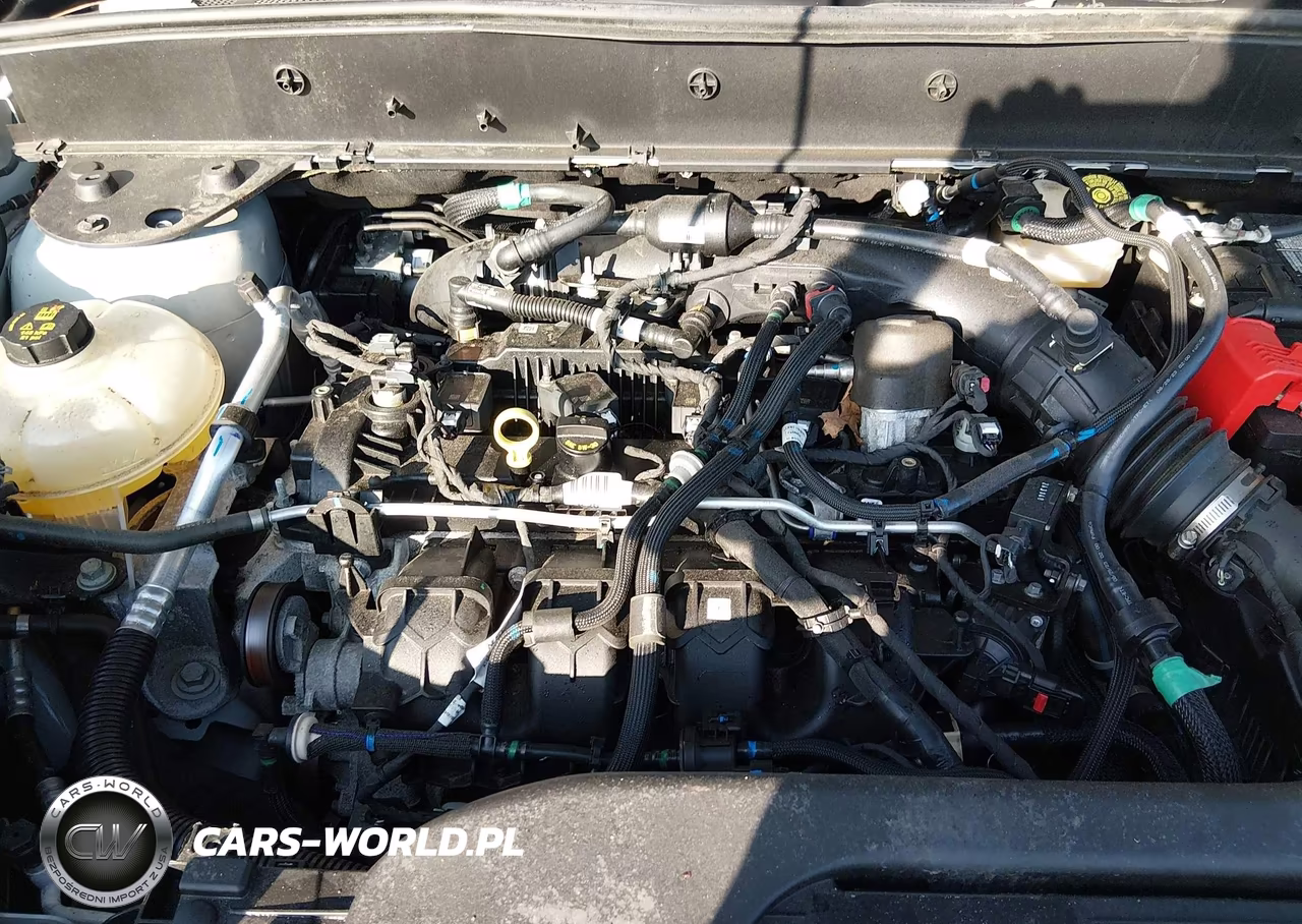 2023 Ford Bronco Sport Badlands VIN:3FMCR9D97PRE31831 - 10