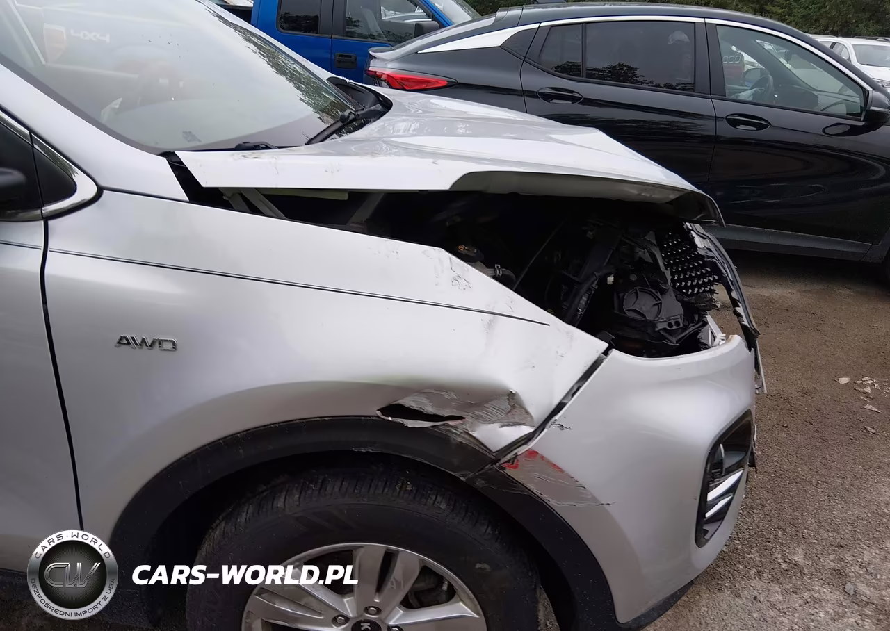 2019 Kia Sportage Lx VIN:KNDPMCAC1K7519596 - 6