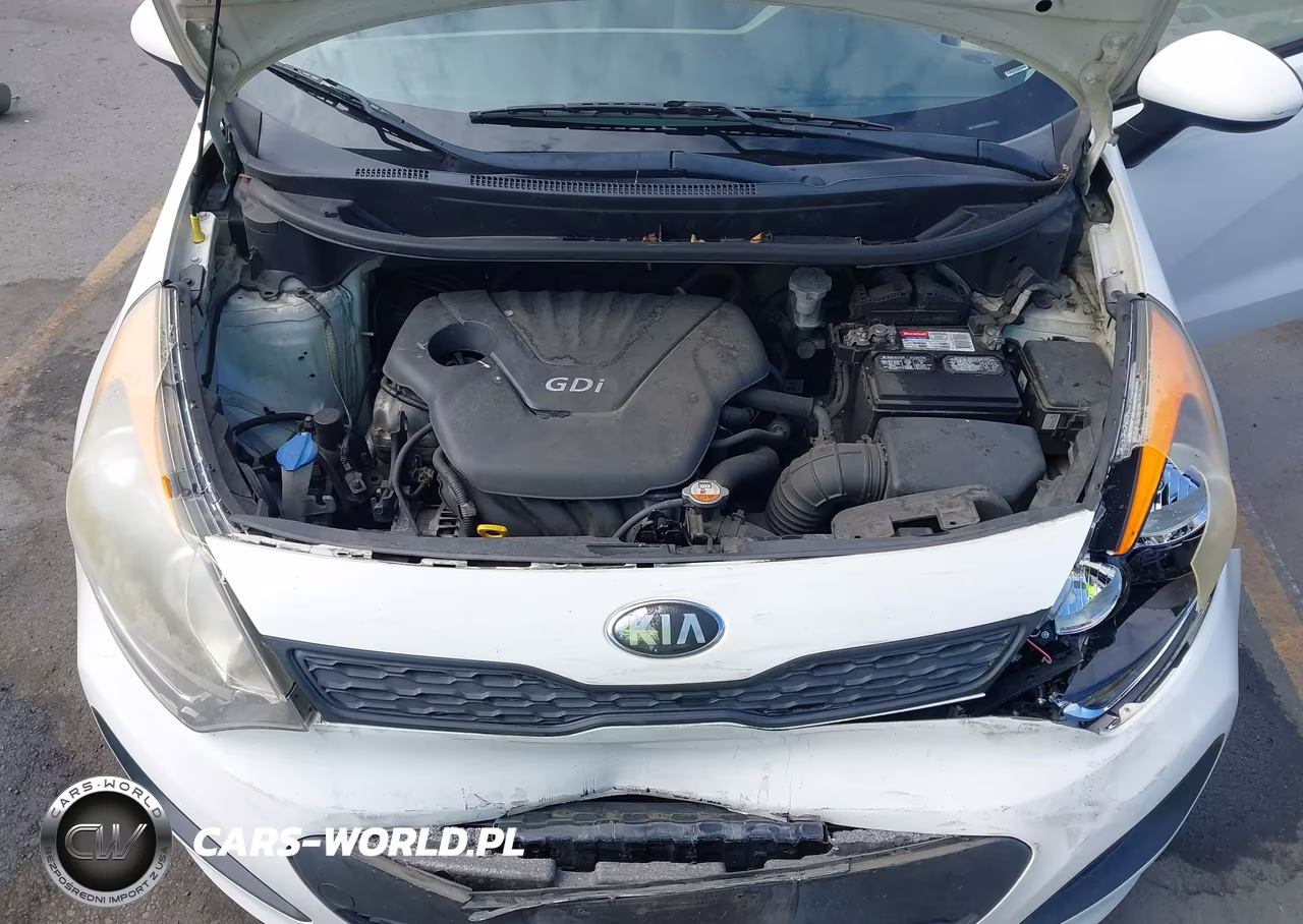 2014 Kia Rio Lx VIN:KNADM5A37E6372142 - 10