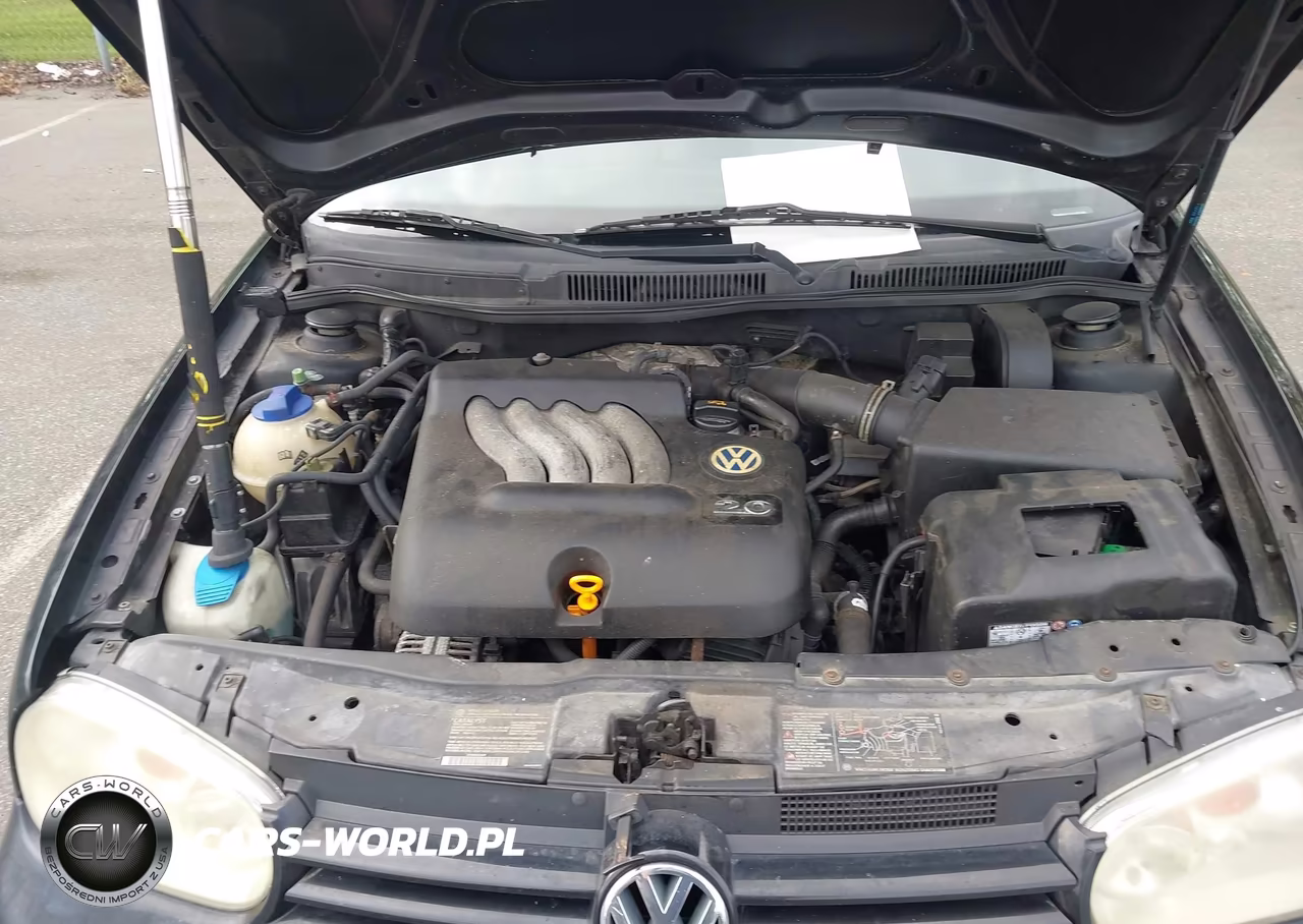 2003 Volkswagen Golf Gls 2.0L VIN:9BWGK61J134071861 - 10