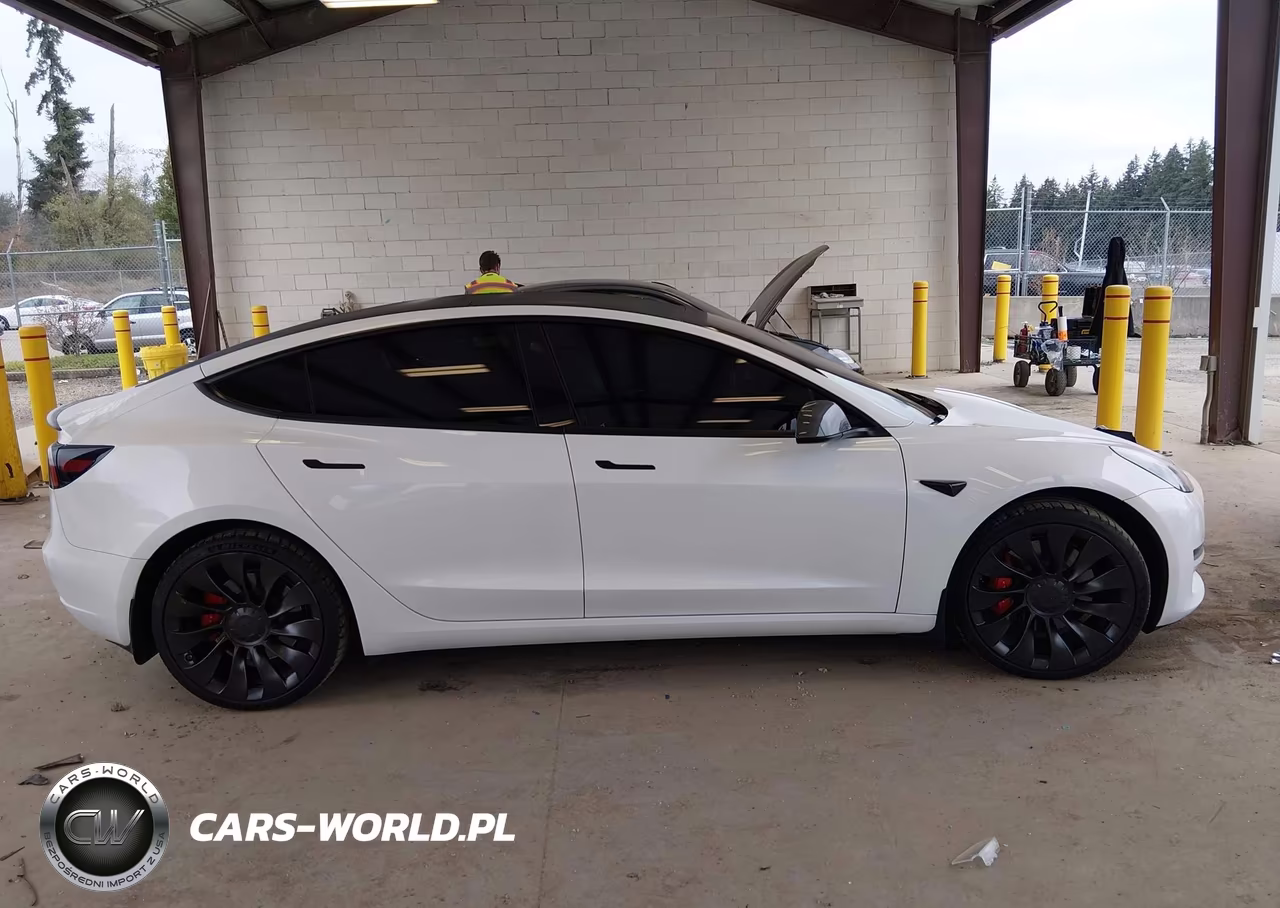 2023 Tesla Model 3 Performance Dual Motor All-Wheel Drive VIN:5YJ3E1ECXPF699818 - 12