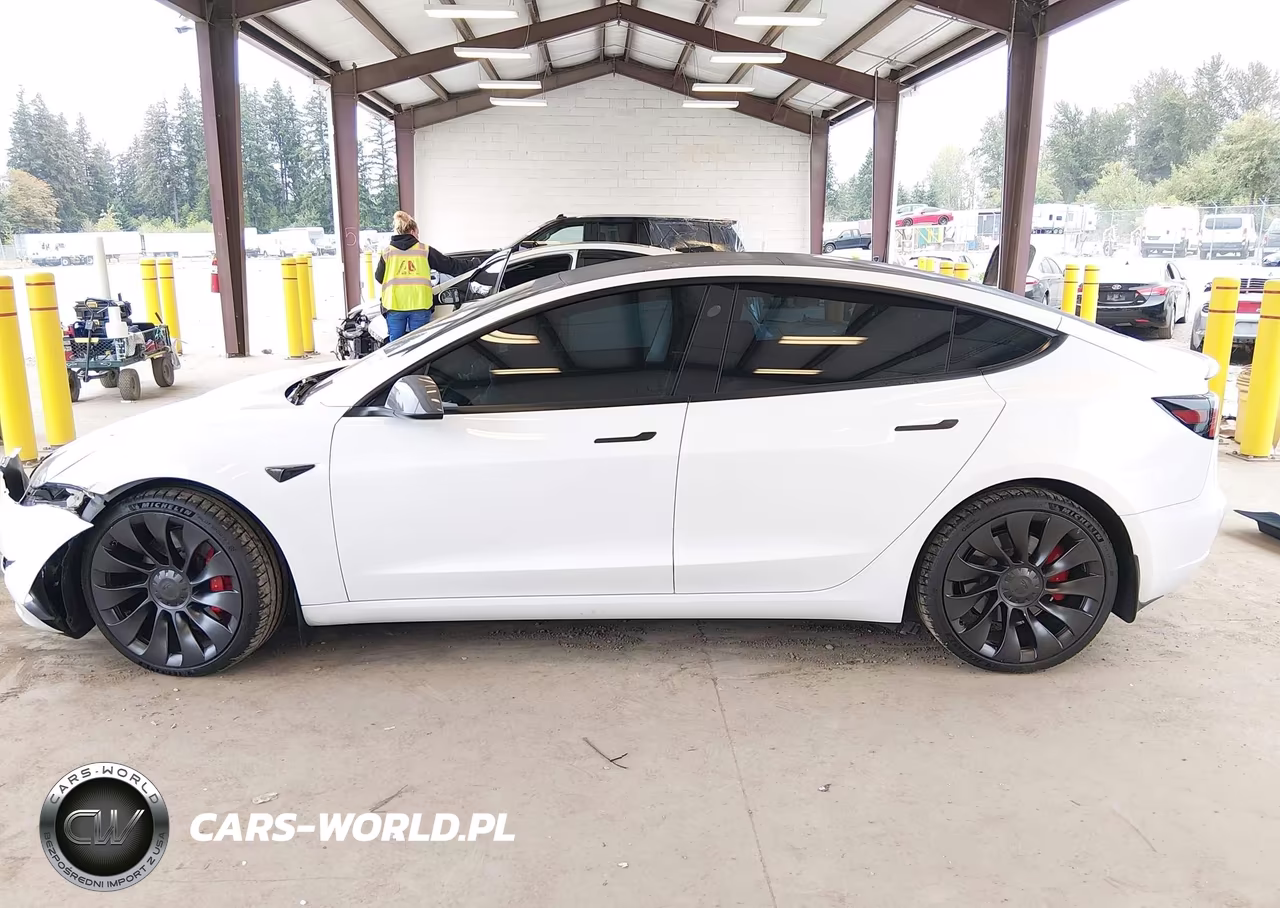 2023 Tesla Model 3 Performance Dual Motor All-Wheel Drive VIN:5YJ3E1ECXPF699818 - 13