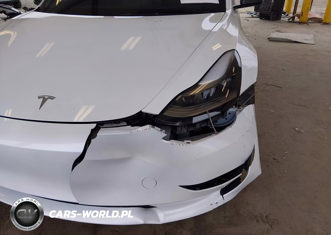 2023 Tesla Model 3 Performance Dual Motor All-Wheel Drive VIN:5YJ3E1ECXPF699818 - 6