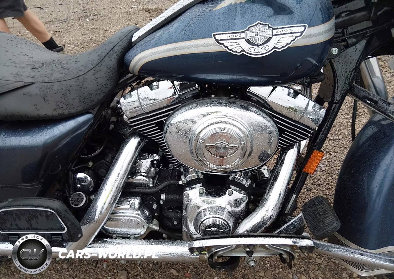 2003 Harley-Davidson Flhrci VIN:1HD1FRW193Y721932 - 8