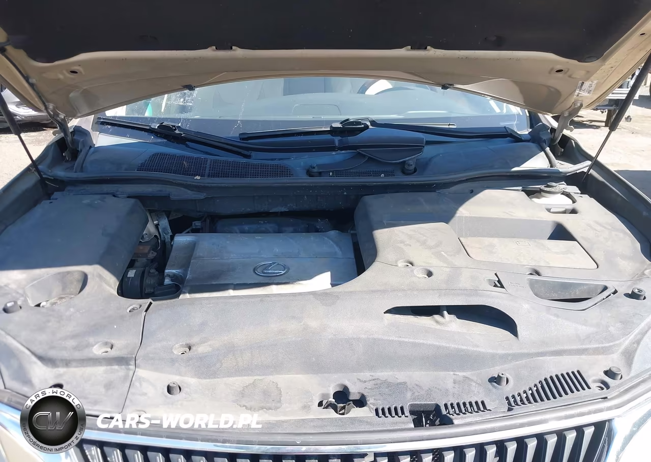 2010 Lexus Rx 350 VIN:2T2ZK1BA4AC021904 - 10