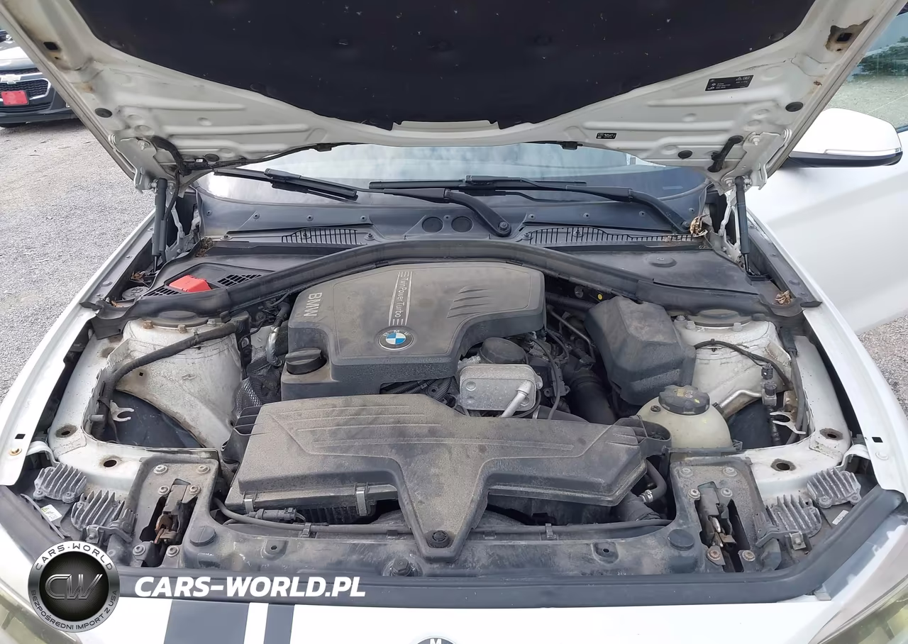 2016 BMW 228I xDrive VIN:WBA1G9C53GV599269 - 10