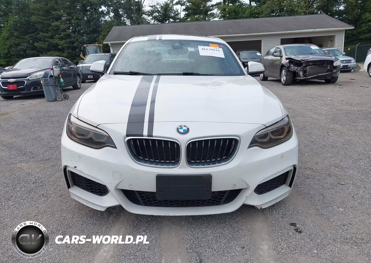 2016 BMW 228I xDrive VIN:WBA1G9C53GV599269 - 12