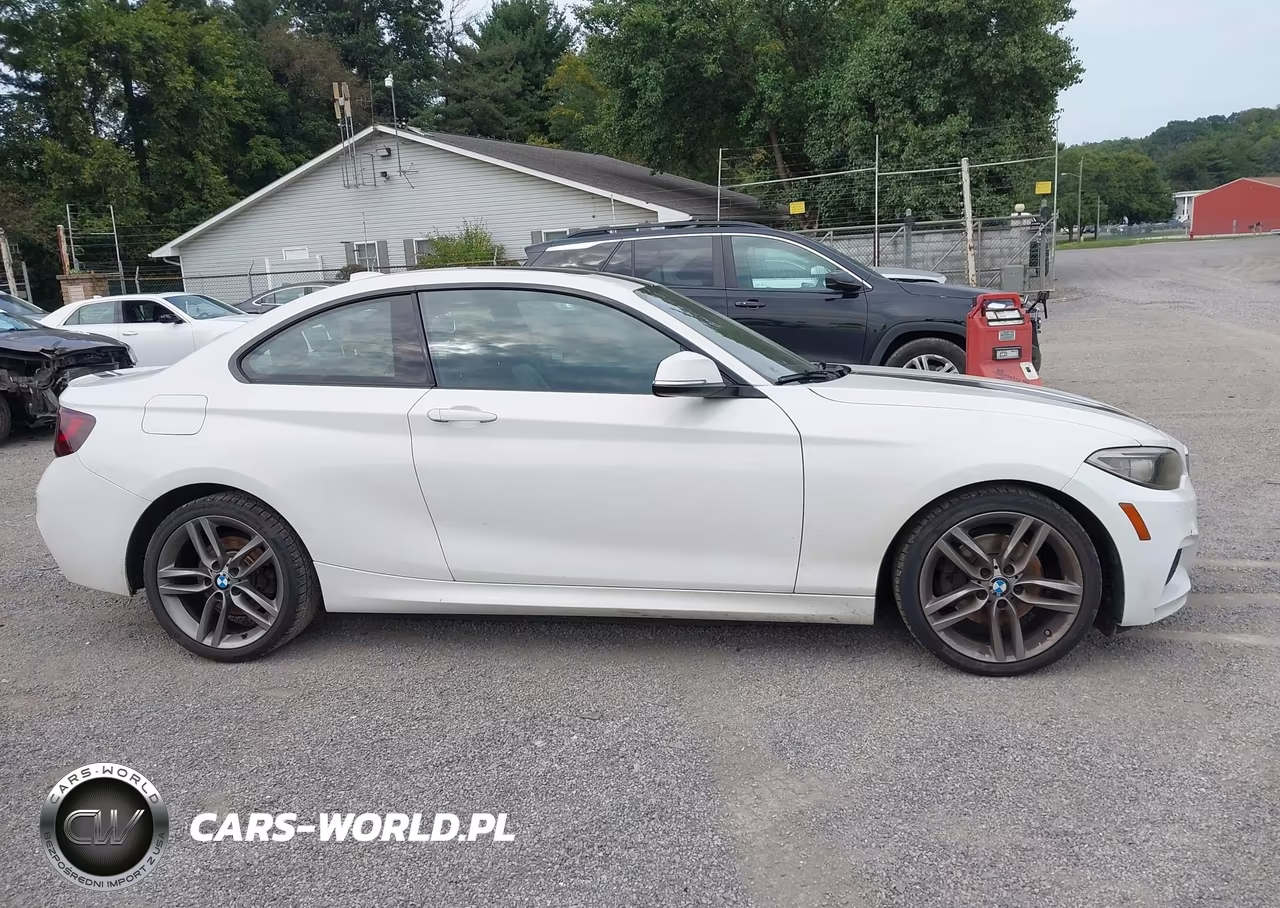 2016 BMW 228I xDrive VIN:WBA1G9C53GV599269 - 13