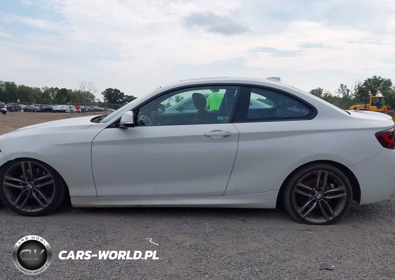 2016 BMW 228I xDrive VIN:WBA1G9C53GV599269 - 14