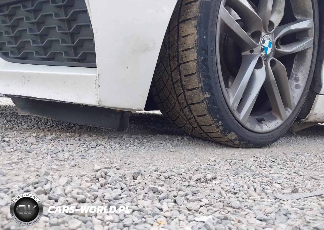 2016 BMW 228I xDrive VIN:WBA1G9C53GV599269 - 17