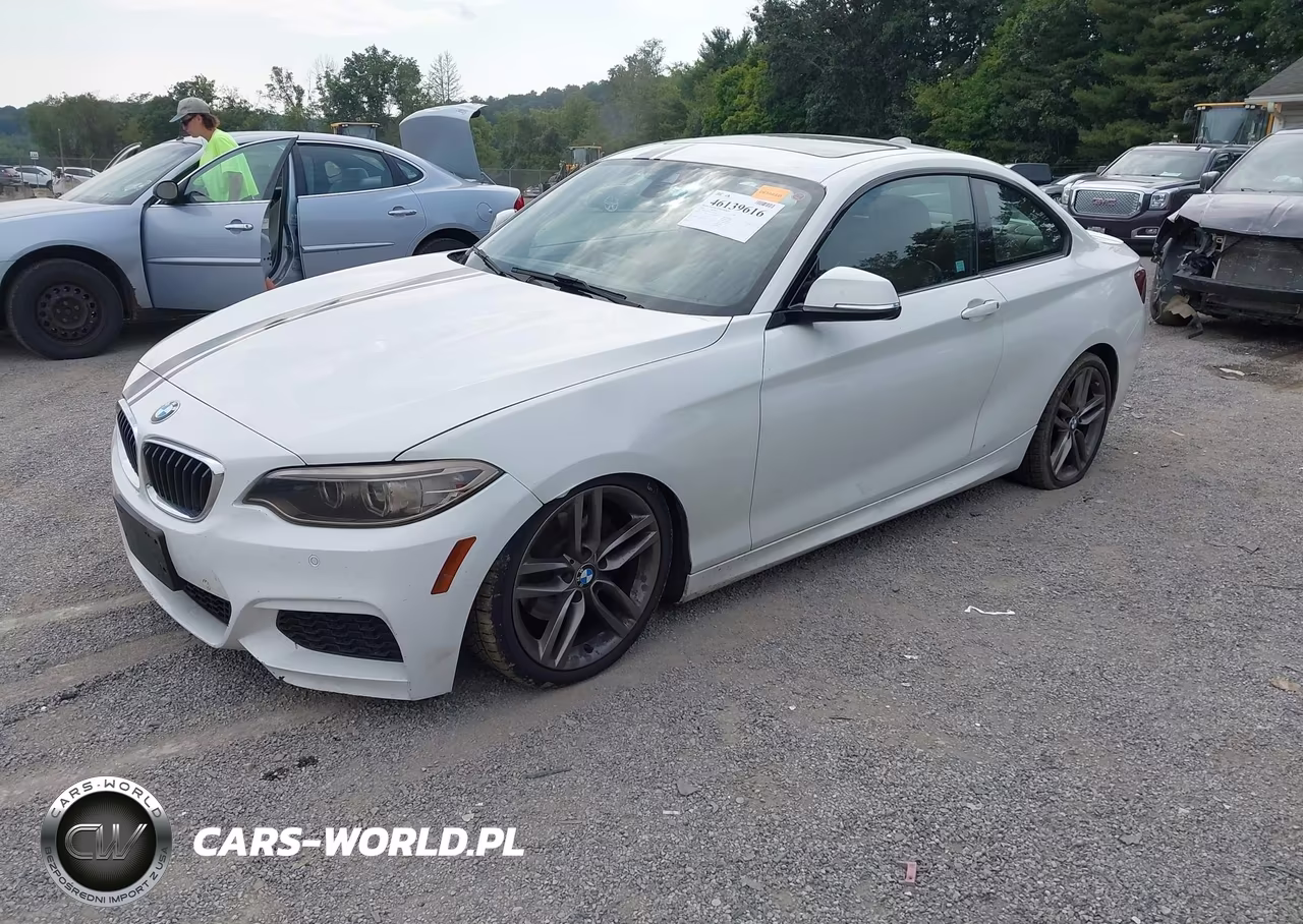 2016 BMW 228I xDrive VIN:WBA1G9C53GV599269 - 2