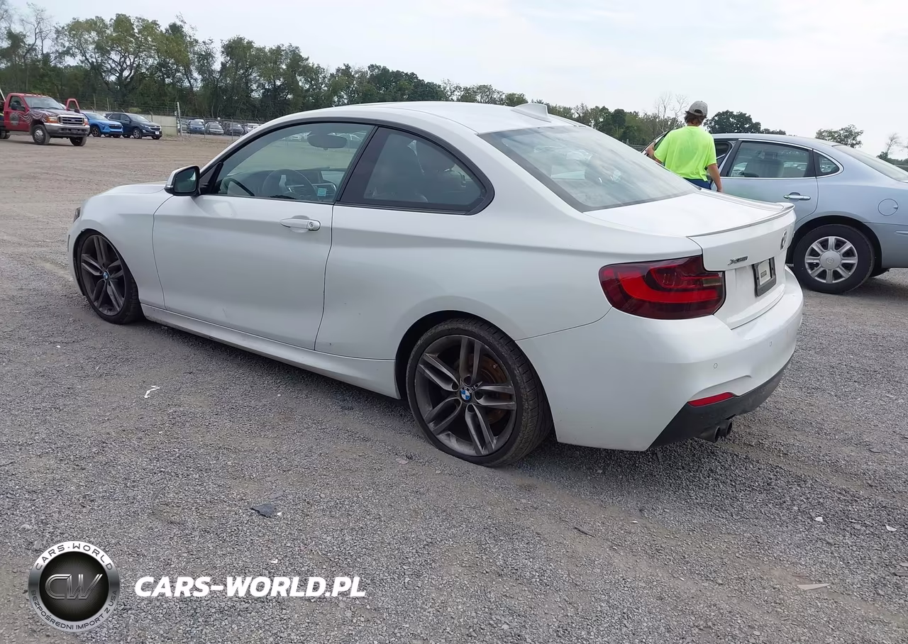 2016 BMW 228I xDrive VIN:WBA1G9C53GV599269 - 3