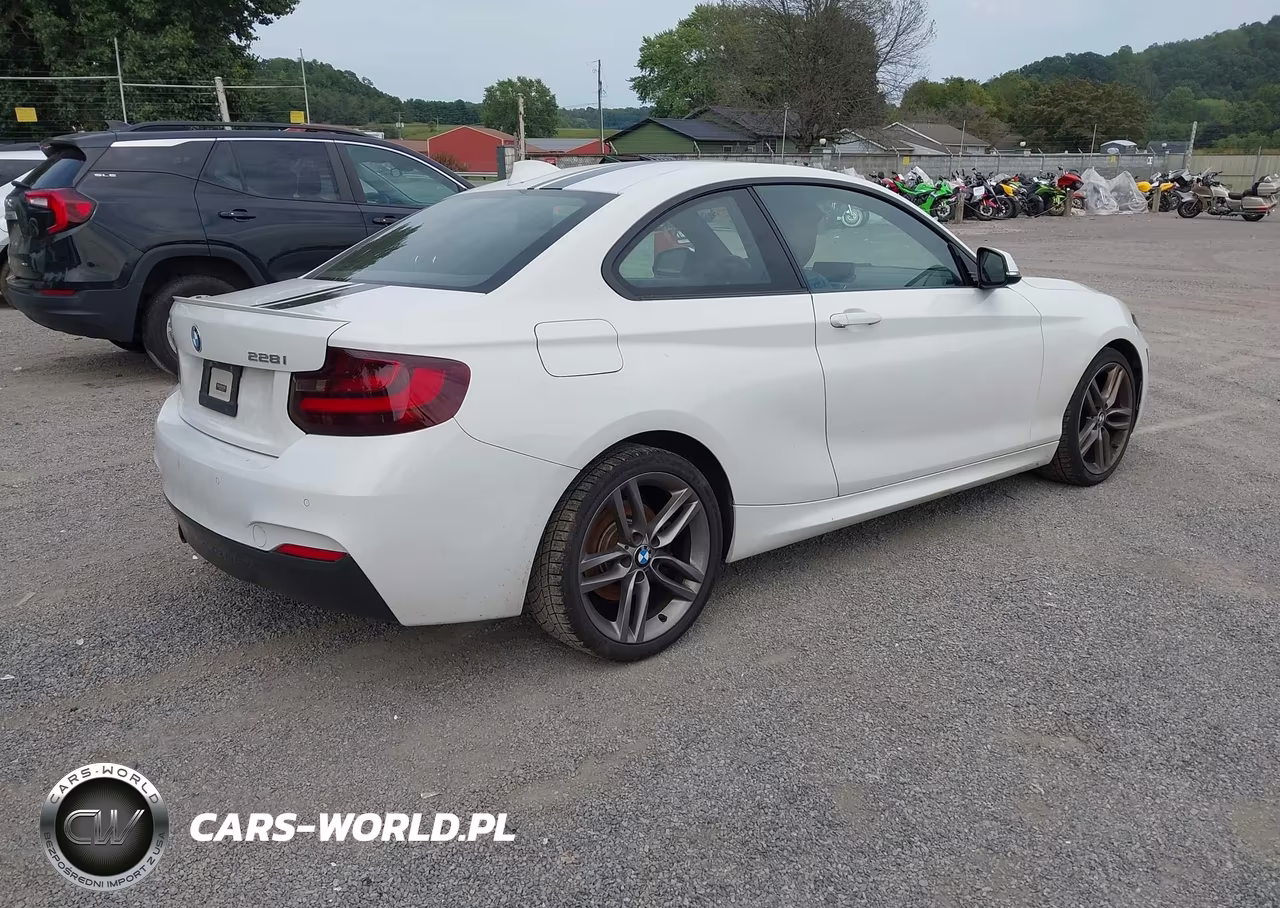 2016 BMW 228I xDrive VIN:WBA1G9C53GV599269 - 4