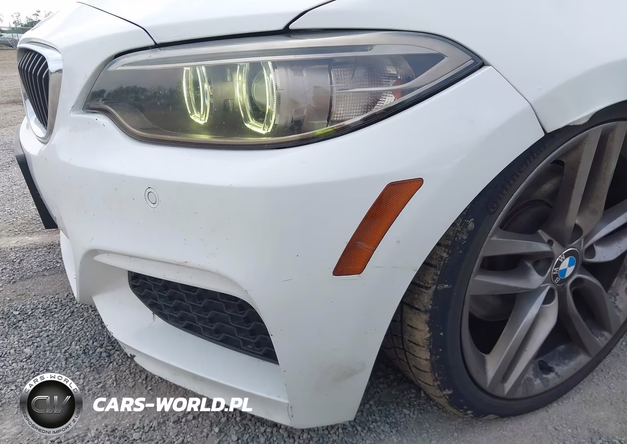 2016 BMW 228I xDrive VIN:WBA1G9C53GV599269 - 6