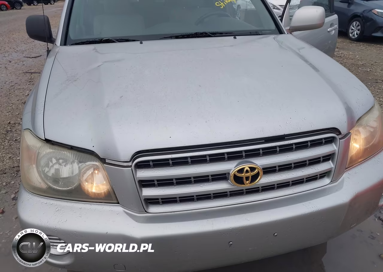2001 Toyota Highlander V6 VIN:JTEHF21AX10029541 - 6