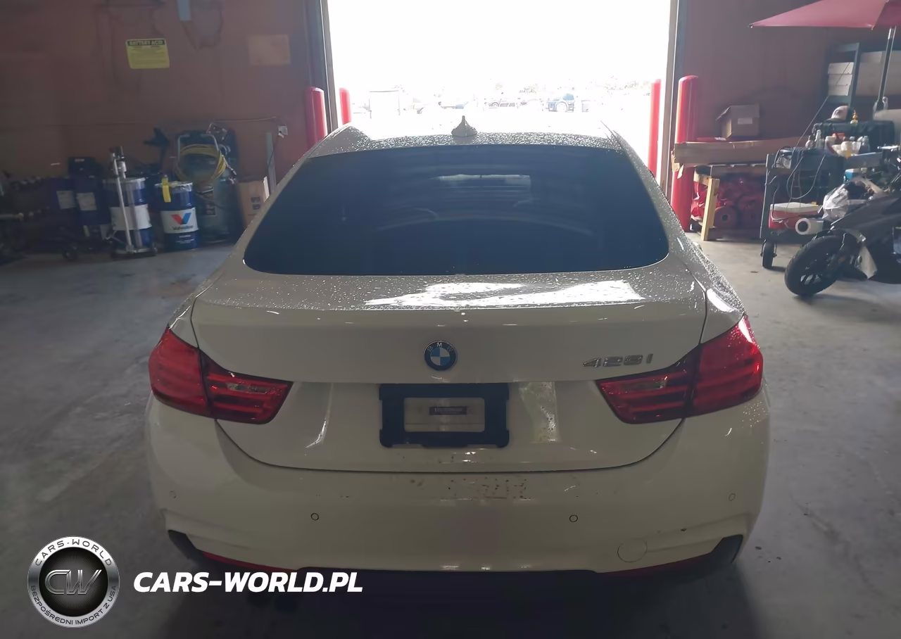 2016 BMW 428I Gran Coupe VIN:WBA4A9C55GG504844 - 16
