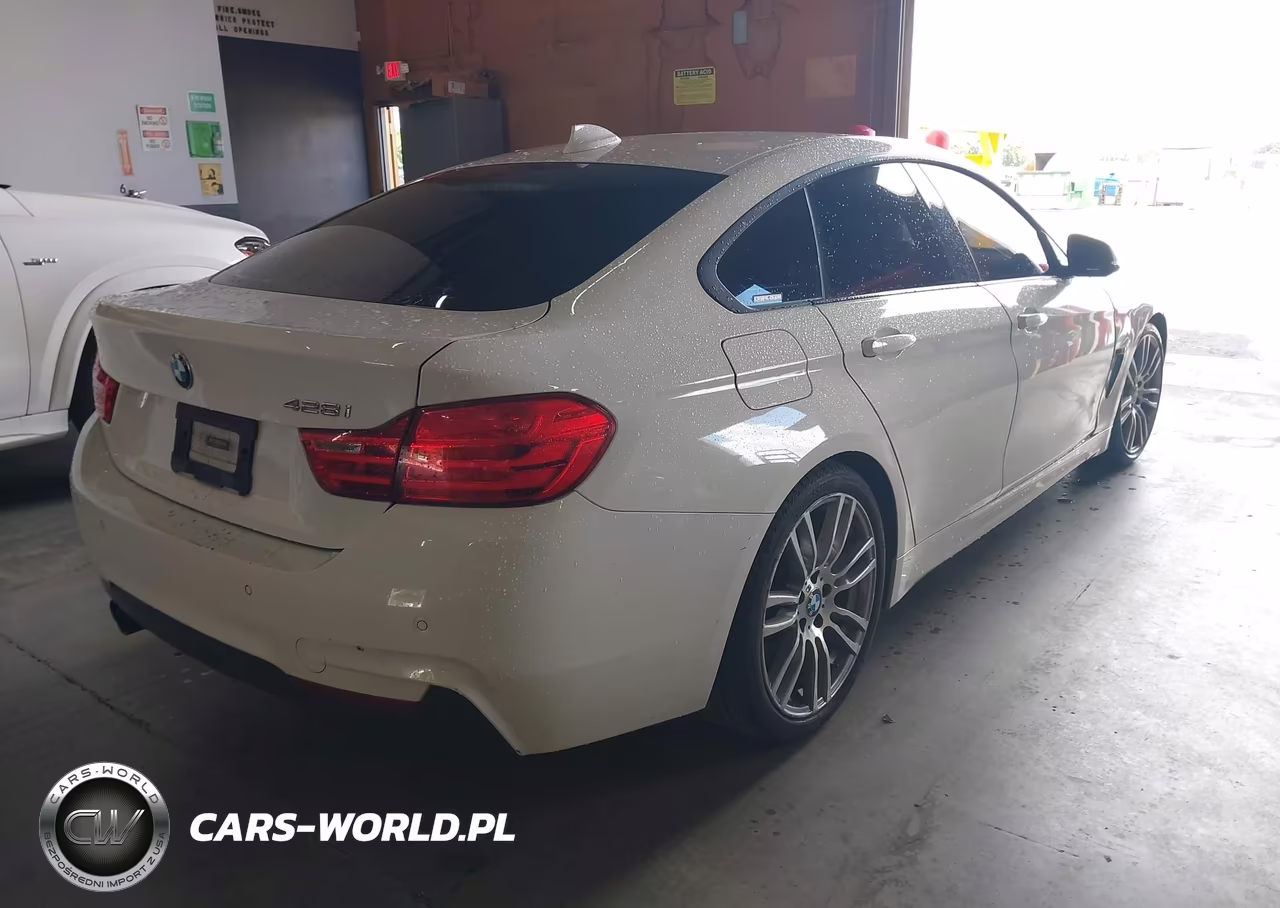 2016 BMW 428I Gran Coupe VIN:WBA4A9C55GG504844 - 4