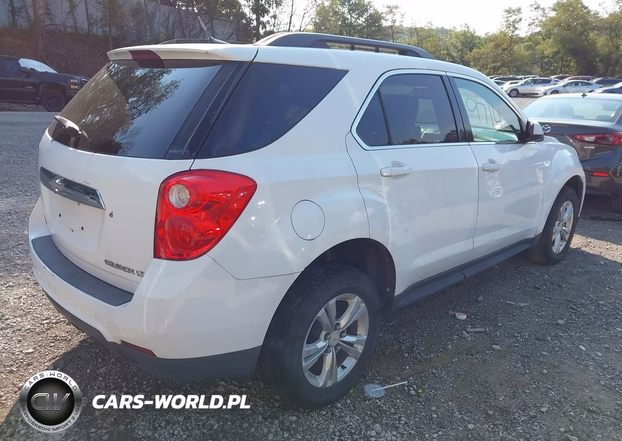 2010 Chevrolet Equinox Lt VIN:2CNALDEW4A6256985 - 4