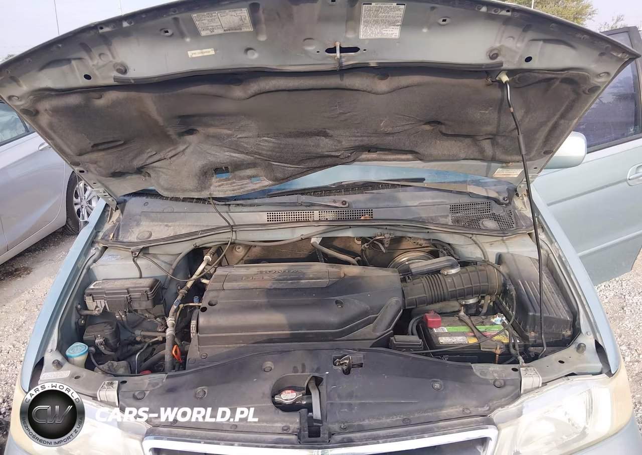 2004 Honda Odyssey Ex-L VIN:5FNRL18034B000607 - 10