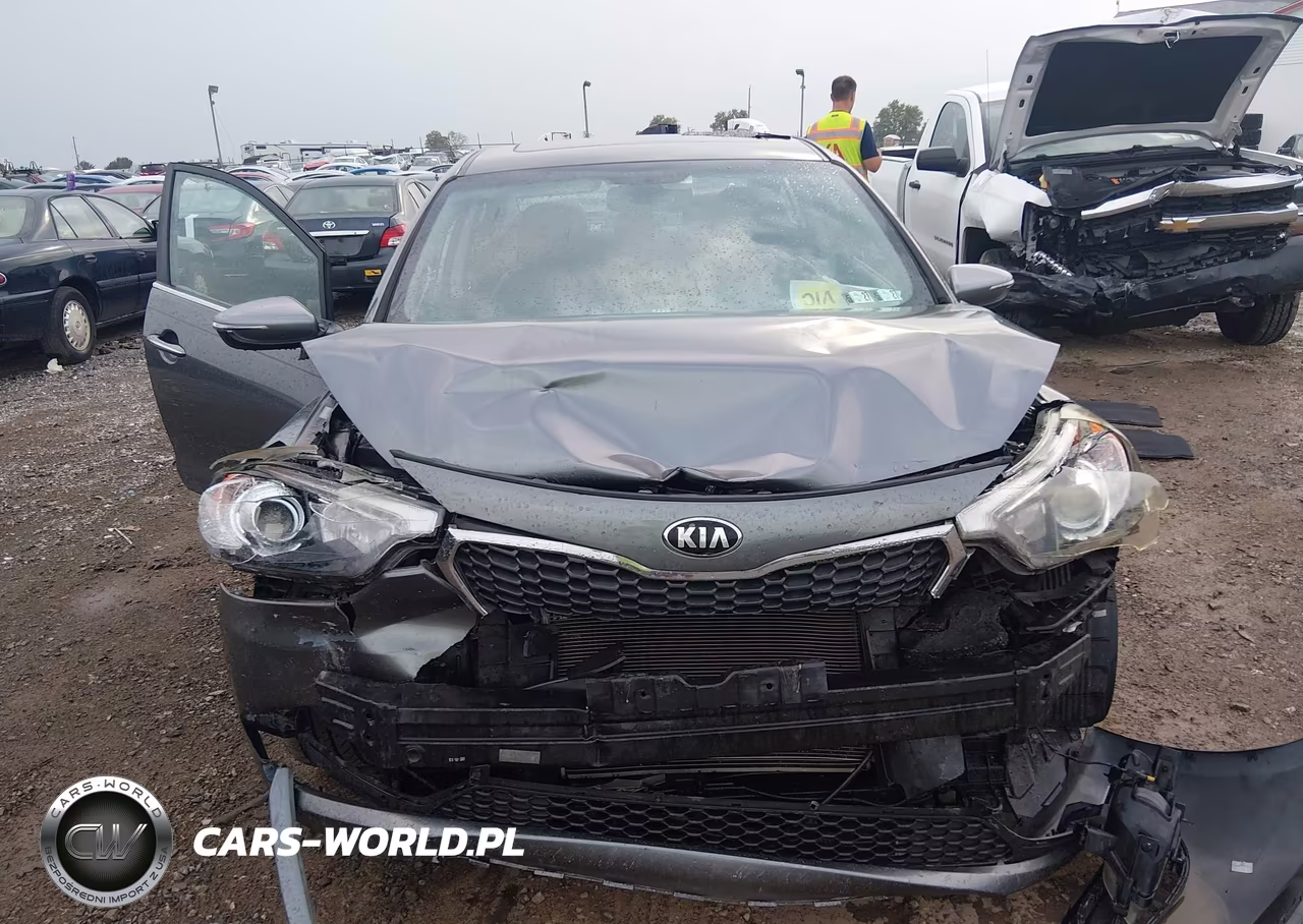2016 Kia Forte Ex VIN:KNAFZ4A84G5529229 - 12