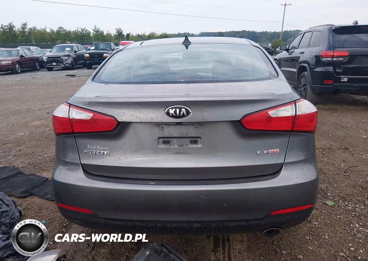 2016 Kia Forte Ex VIN:KNAFZ4A84G5529229 - 16