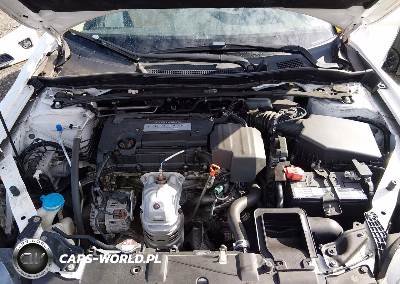 2013 Honda Accord Ex-L VIN:1HGCT1B85DA004480 - 10