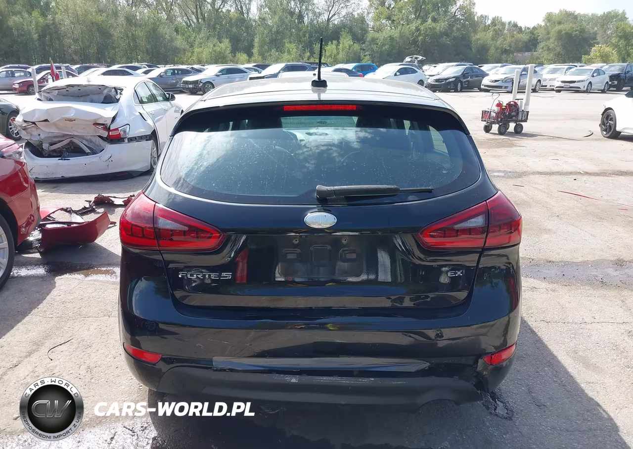 2017 Kia Forte Ex VIN:KNAFX5A89H5726801 - 17