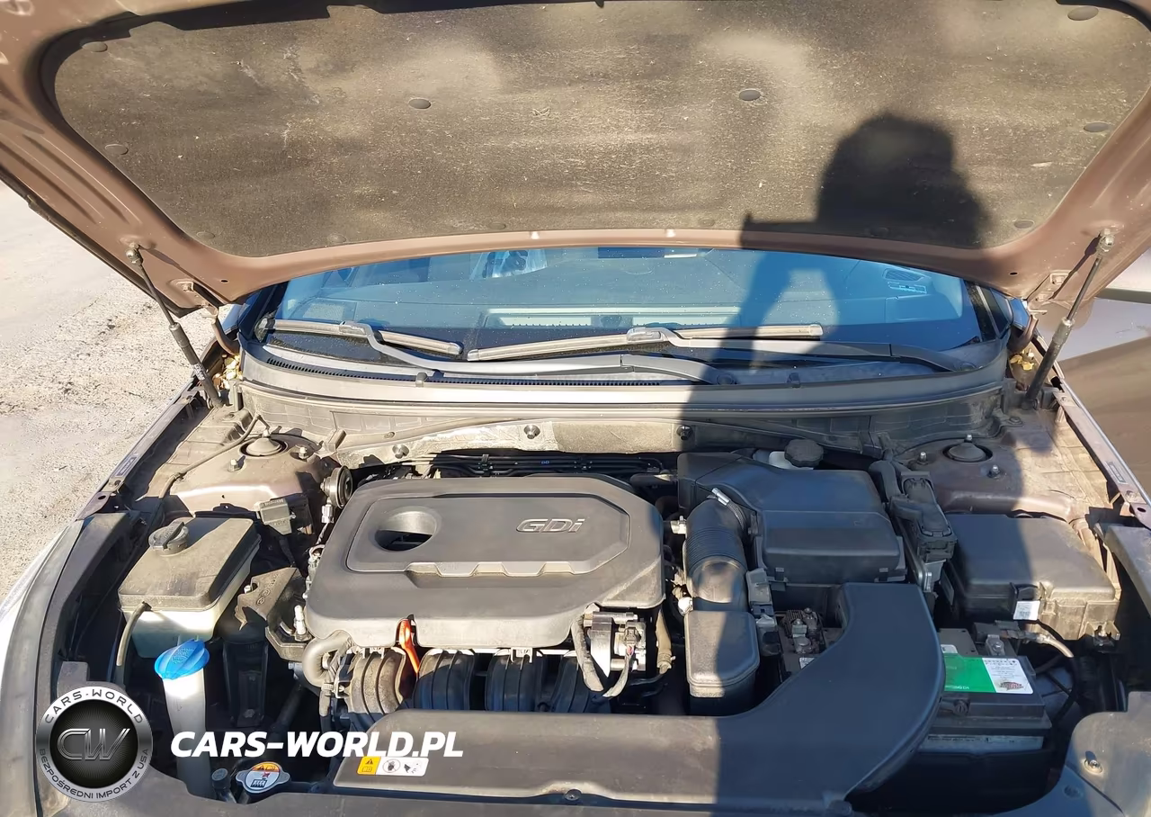 2015 Hyundai Sonata Se VIN:5NPE24AF4FH166964 - 10