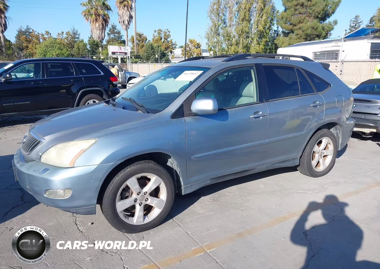 2004 Lexus Rx 330 VIN:JTJHA31U040020366 - 2