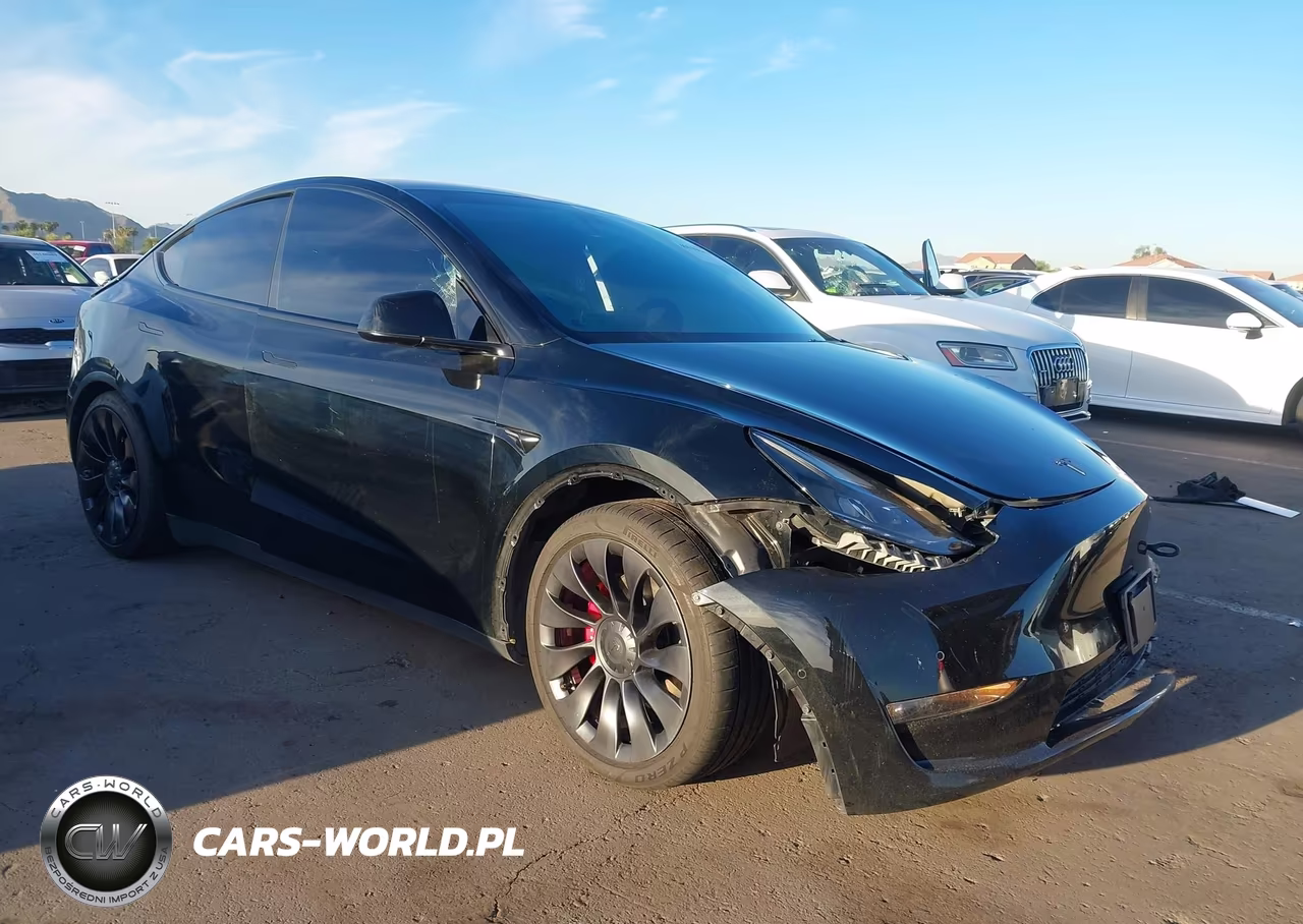 2022 Tesla Model Y Performance Dual Motor All-Wheel Drive