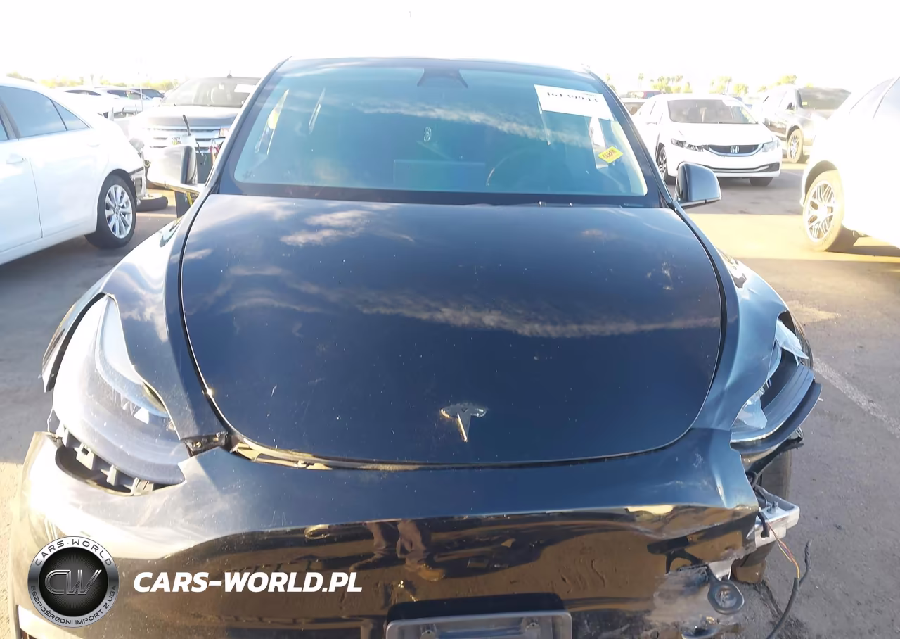 2022 Tesla Model Y Performance Dual Motor All-Wheel Drive VIN:7SAYGDEFXNF491496 - 10