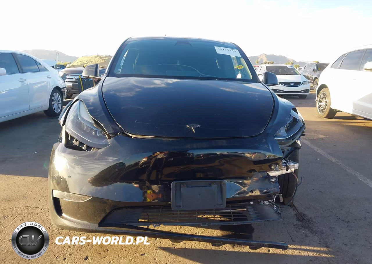 2022 Tesla Model Y Performance Dual Motor All-Wheel Drive VIN:7SAYGDEFXNF491496 - 12